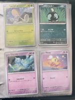 Pokemon Karten Set - Frühlings-Edition - Top Zustand!