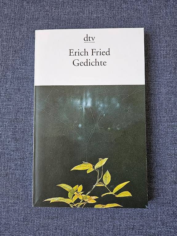 Libri: Erich Fried Gedichte, Erzählungen – Usato da Worb venduto da jun_fj8w