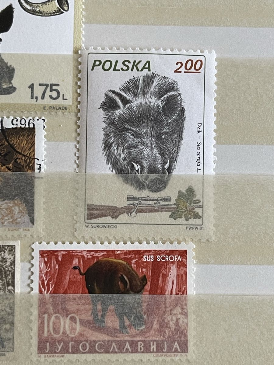 Tous les timbres: Briefmarken mit Wildschweinen – Neuf (Voir description) à Bern par TamSham 3