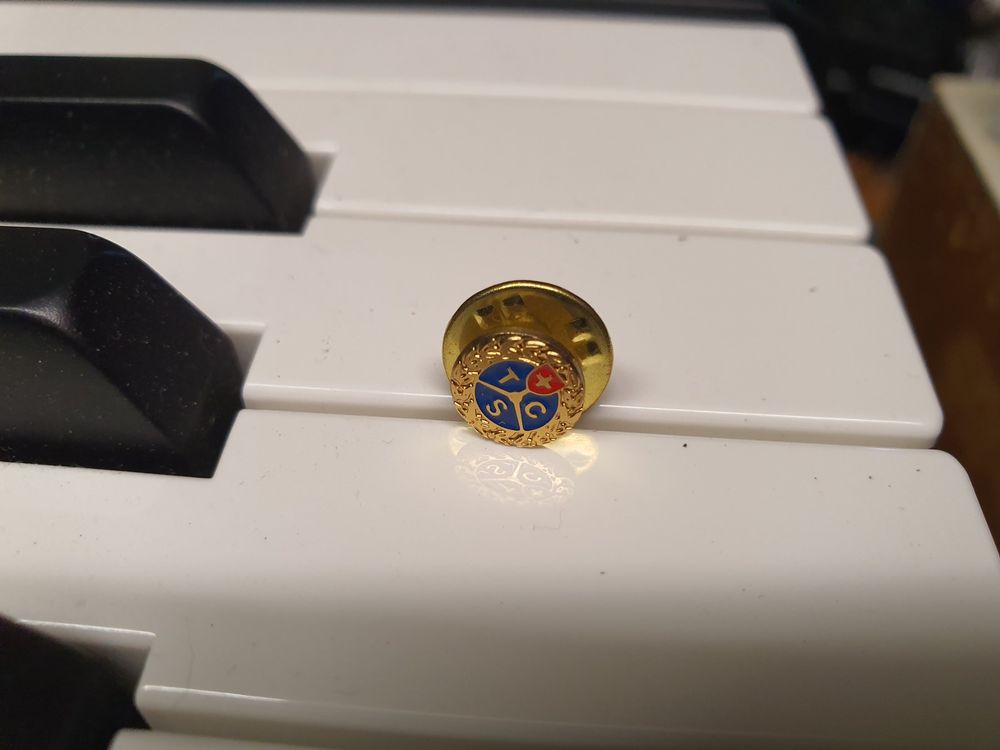 TCS pin | Kaufen auf Ricardo