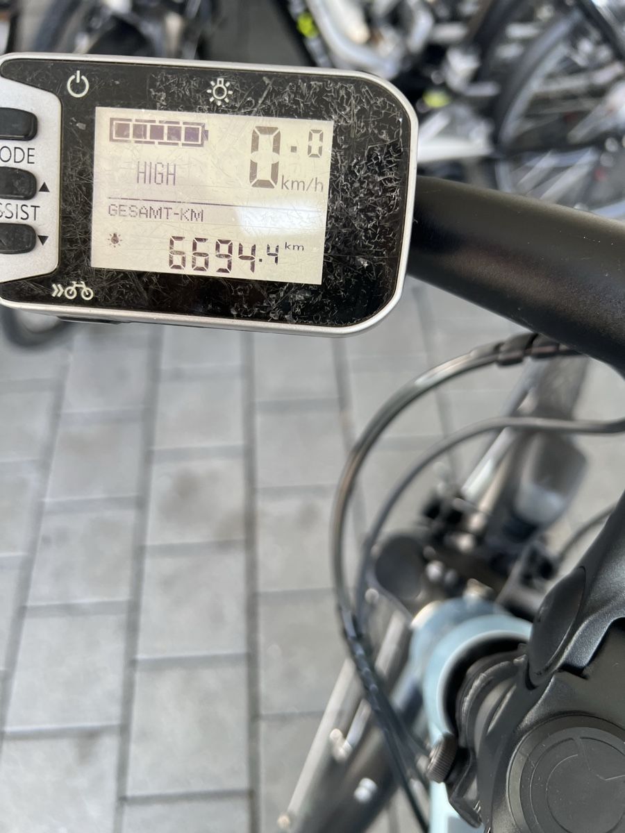 Flyer Biciclette: Flyer e-Bike – Usato da Derendingen venduto da AABB 4