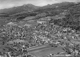 Wiedlisbach BE Flugaufnahme Nr.13184  , ca.1950