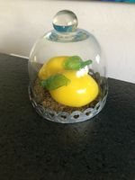 Küchendeko Zitronen Glasfrüchte Dekofrüchte Kosta Boda Deko