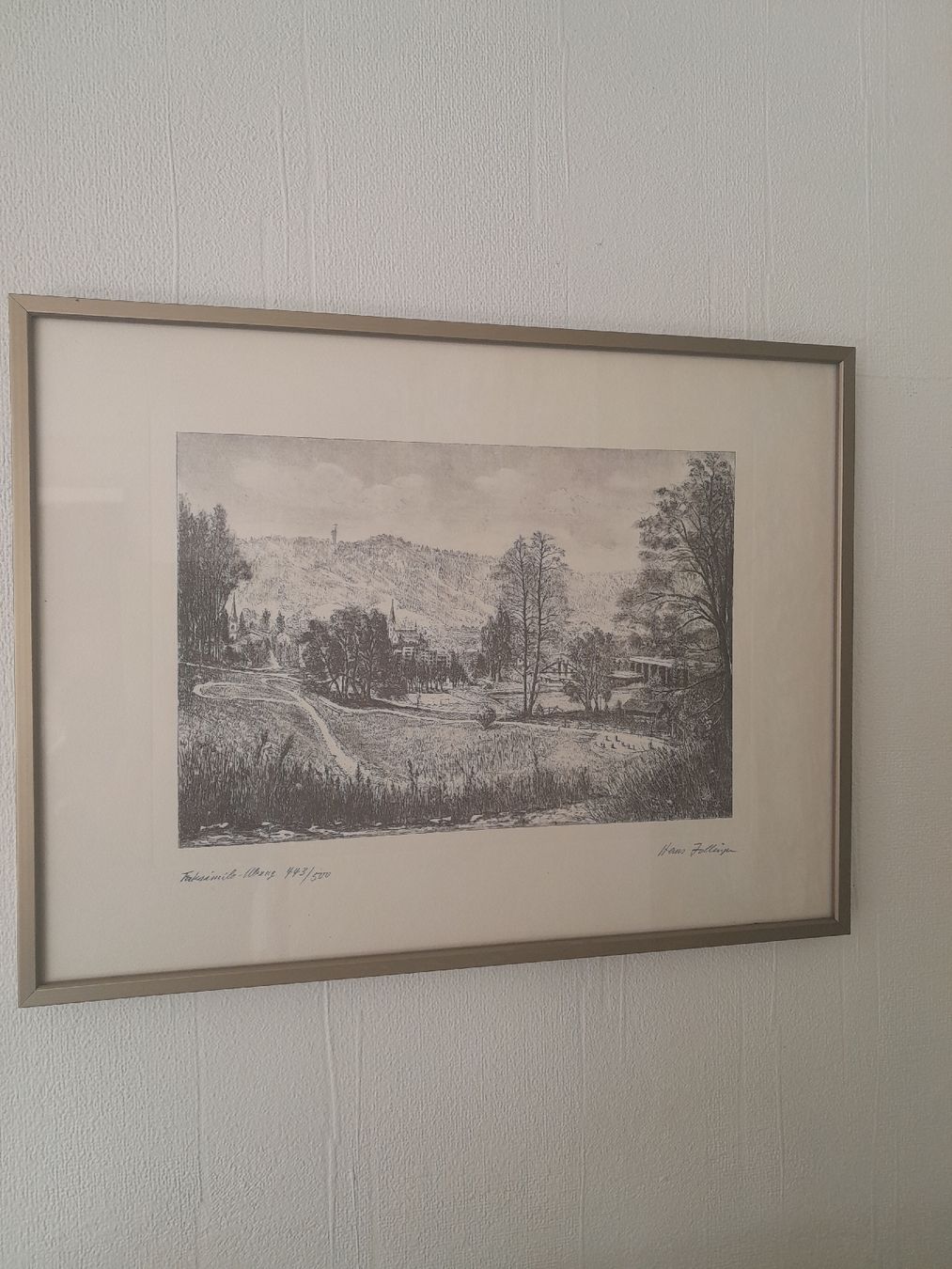 Grafica & Litografie: Landschaftsbild  Hans Zollinger – Usato da Rossrüti venduto da Hansi778 5
