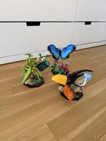 LEGO Ideas 21342 Die Insektensammlung – aufgebaut
