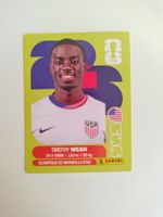 Panini Sticker WM 2026 | USA 12