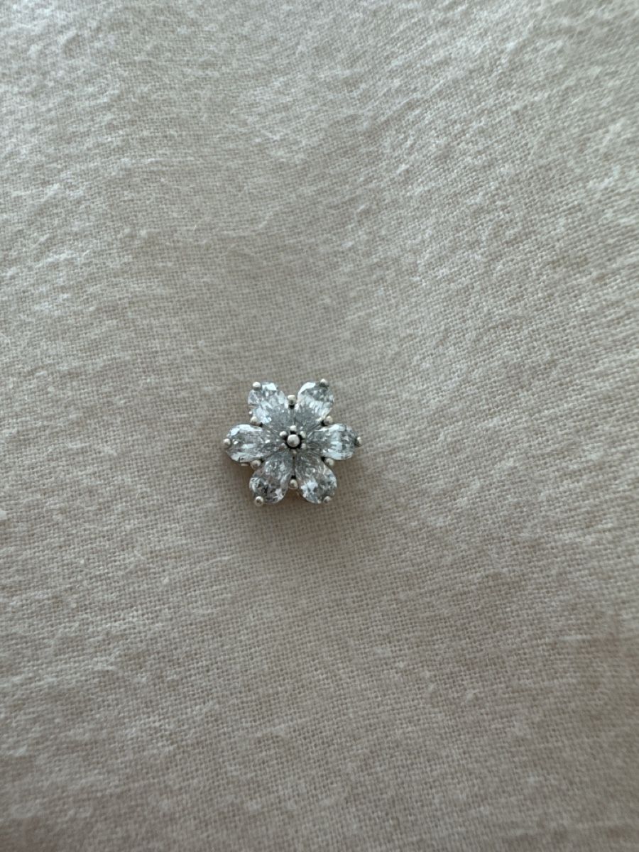 Pandora Ciondoli: Pandora Charm - Schneekristall – Usato da Bözberg venduto da eli_rz6q