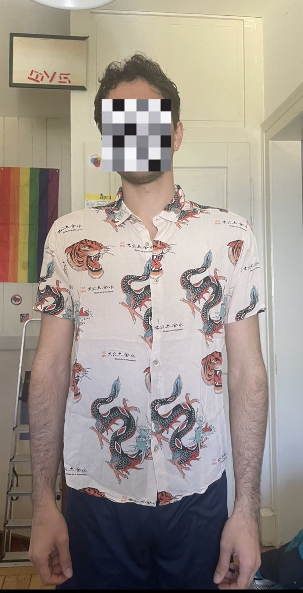 Camicie: Drachen Shirt – Usato da Zürich venduto da glo_qjx8 1