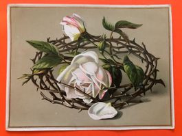 antike Postkarte Rosen