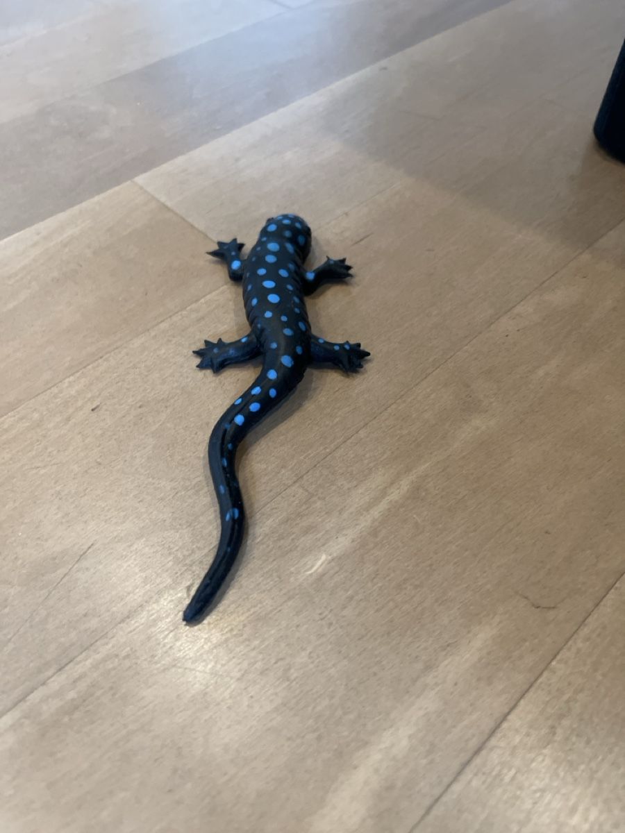 Spielzeuge: Ein blauer Feuersalamander – Neu (gemäss Beschreibung) aus Bern von Kanu21 2