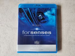 Forsenses  -  A Fascinating Journey Into Nature & Sound