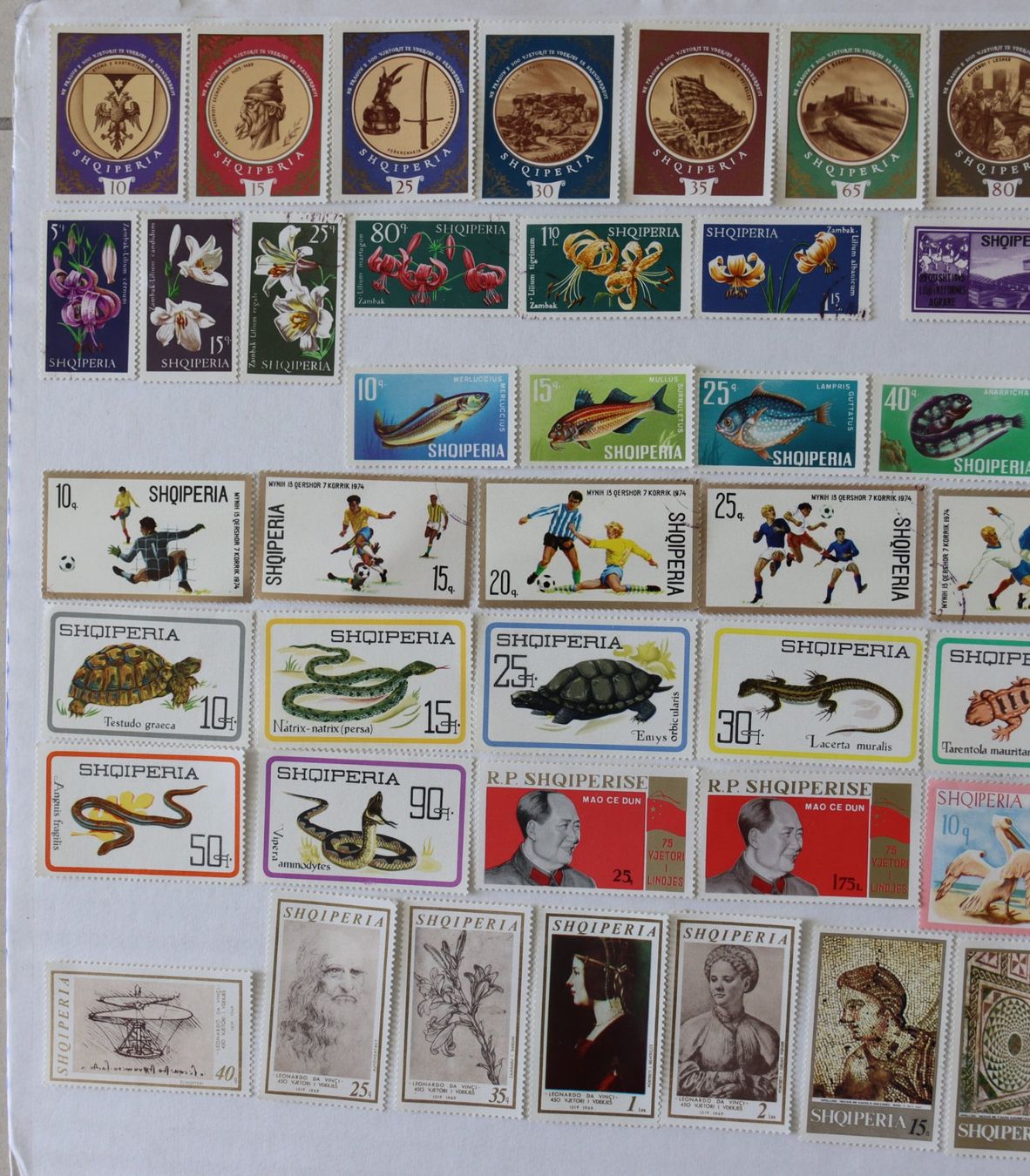 Tutti i francobolli: Briefmarken aus Albanien – Usato da Oberentfelden venduto da lakipul 1
