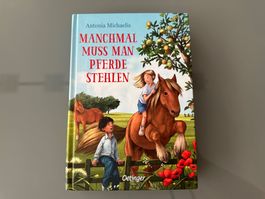 Neu** Jugendbuch über Geschichte mit Pferde