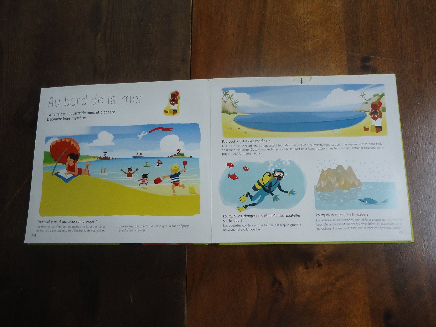 Libri: Mon tout premier Larousse des pourquoi ? – Usato da Vessy venduto da mafabe 3