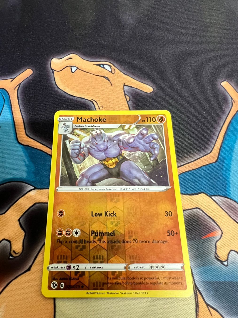 Pokémon Carte collezionabili: Machoke (CPA 25) - Reverse Holo - Champion's Path – Nuovo (secondo la descrizione) da Bülach venduto da Pfrenzel