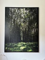 Leinwand Kautschukallee Phuket