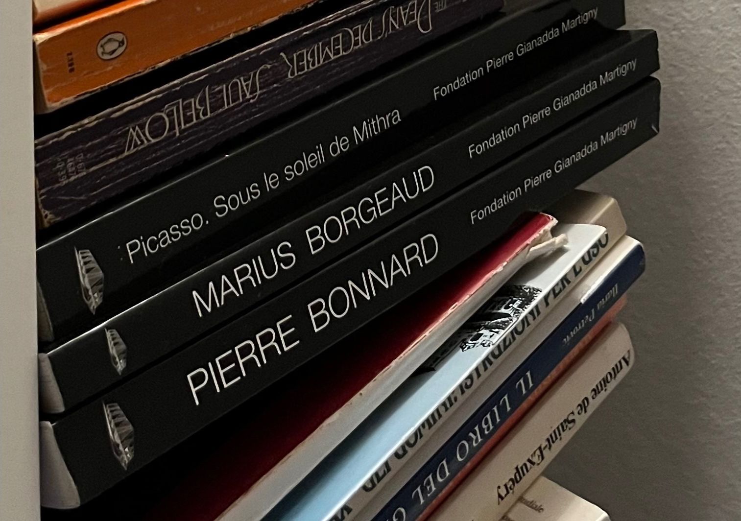 Libri: Fondation Pierre Gianadda – Usato da Freienbach venduto da alile 2