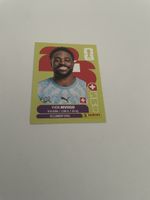 FIFA WM 2026 Yvon Mvogo SUI 3