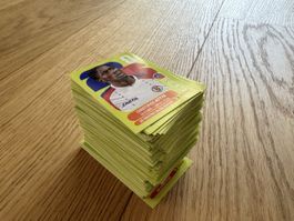 Paninis Wm 2026 300 Sticker 