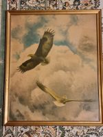 Bruno Liljefors 1923 – Adler – Chromolithografie