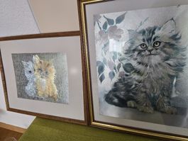 Schöne Katzenbilder im Rahmen, süsses Motiv, Top Zustand!