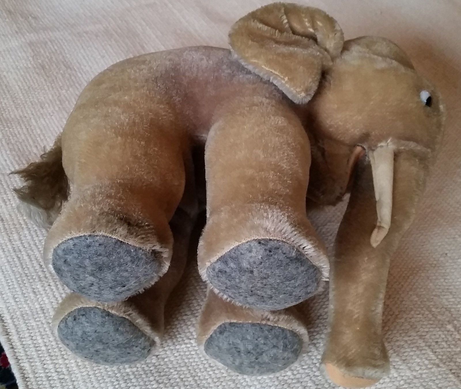 Steiff Giocattoli: Steiff Elefant antik, 23cm – Usato da Herrliberg venduto da AlexandraBopp 4