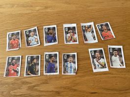 Alle FIFA WM Coca Cola Sticker