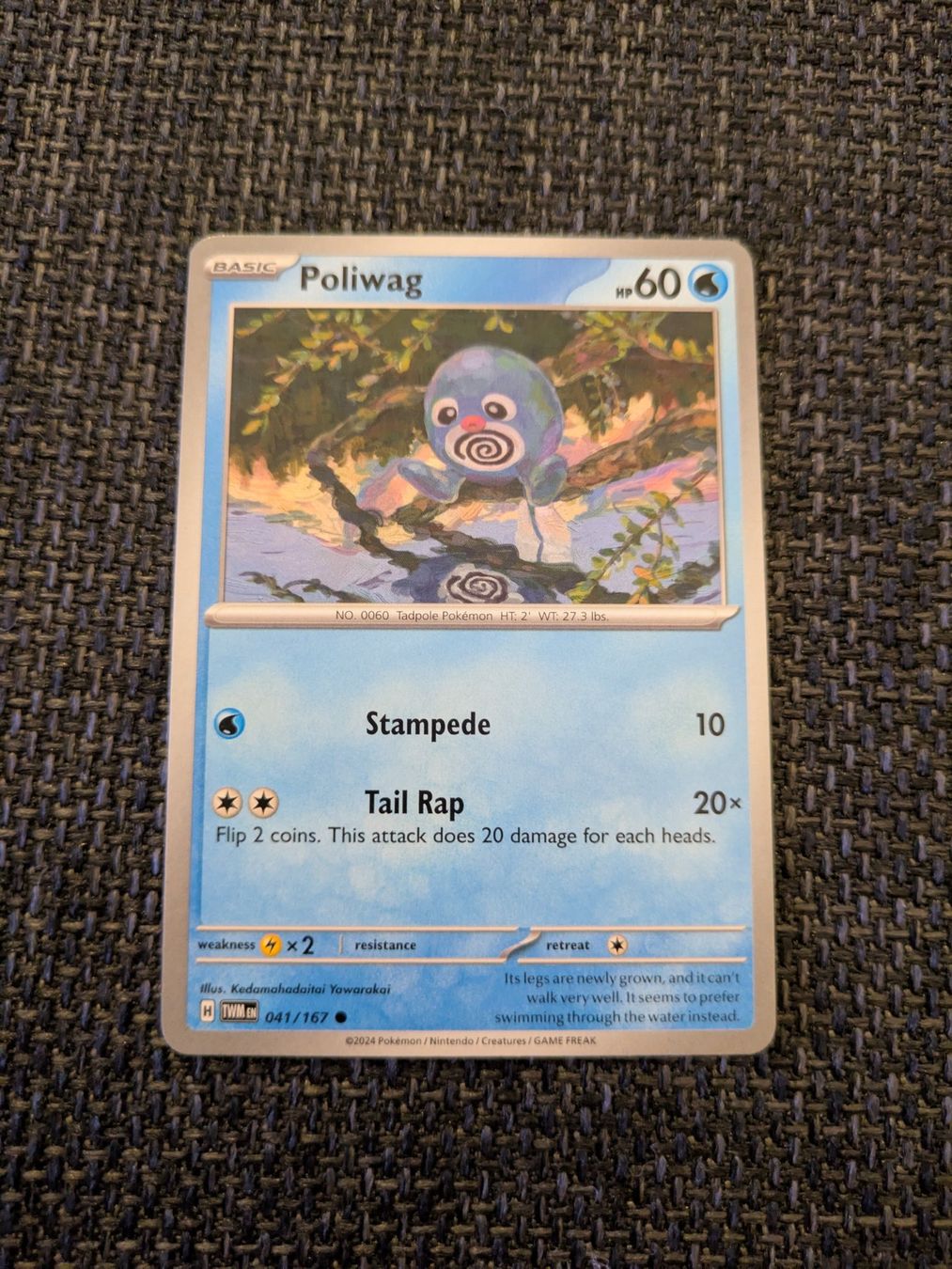 Pokémon Sammelbilder & Trading cards: POLIWAG, TWILIGHT MASQUERADE, TWM41, COM, 2024, ENG, NM – Gebraucht aus Losone von AlpineLayer