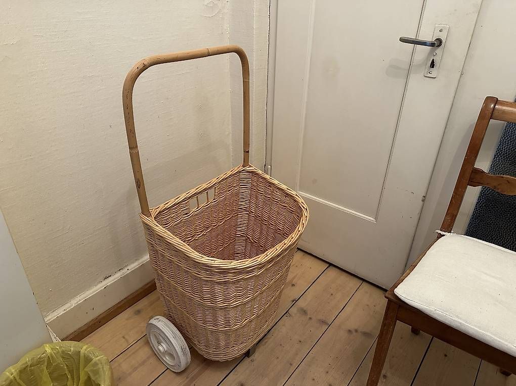 Altro per la casa: Einkaufswagen, Korbwagen – Usato da Münchenstein venduto da Vorsorge
