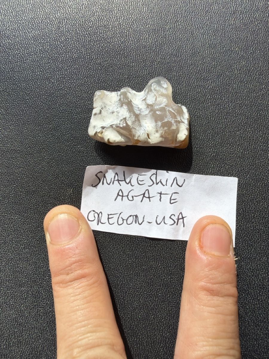 Mineralien & Heilsteine: Snakeskin agate 14.07 grammi – Gebraucht aus Cama von stevemassive 2