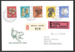 FDC Pro Juventute Serie 1965 ET Bern 1.12.1965 Hans Erni