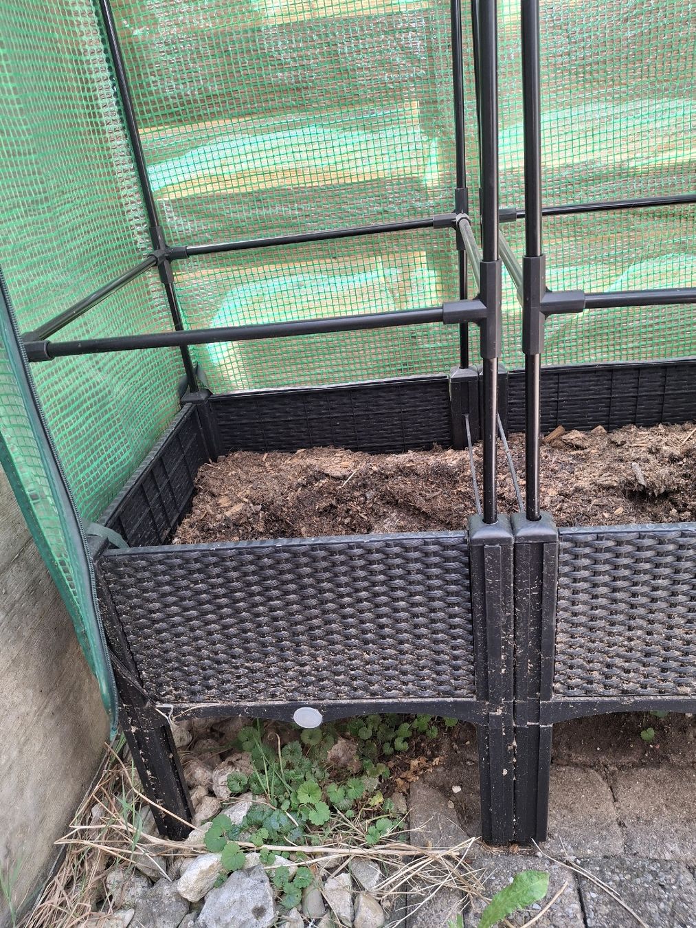 Vasi per fiori: Tomaten gewächshaus Hochbeet höhe 140cm – Usato da Herzogenbuchsee venduto da nro_z587 1