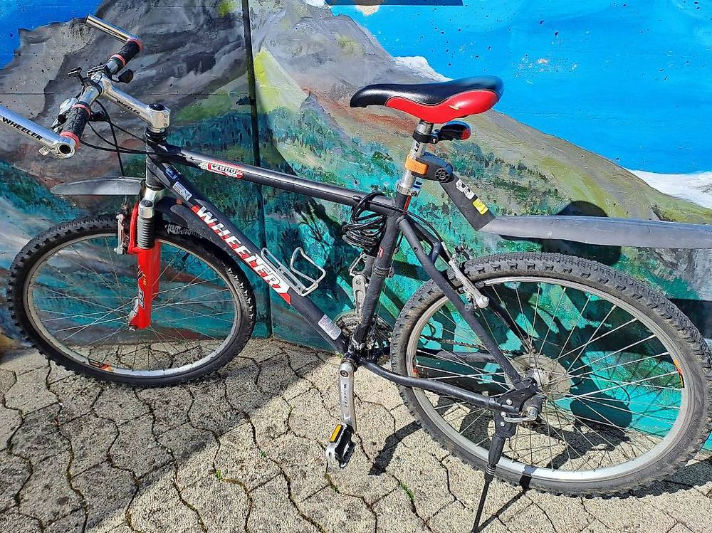 Mountainbike, Wheeler 2900 ZX Trail (Gebraucht) in Langenbruck für
