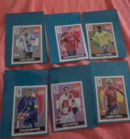 Panini Extra Stickers Rares