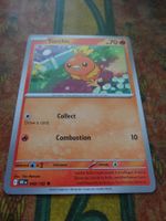 POKEMON  Torchic    I  DRI EN  040/182  HP70  2025