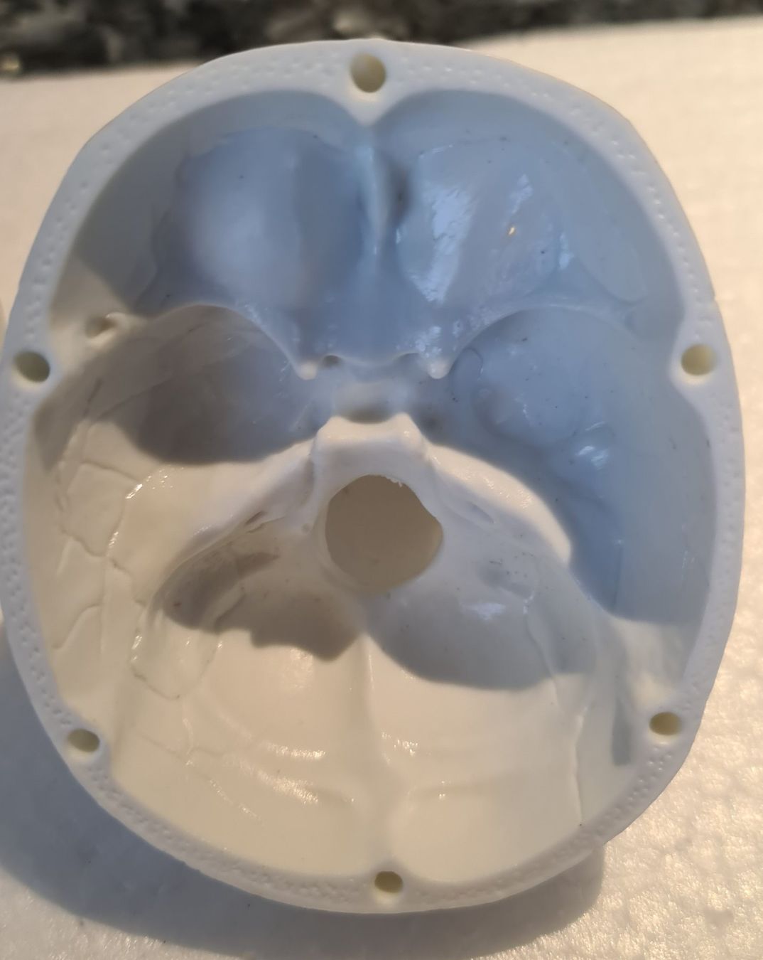 Kit di modellismo & Modellini statici: Schädel Menschlichen Anatomischen Modell – Nuovo e nell'imballaggio originale da Uerkheim venduto da Kaufoption 3