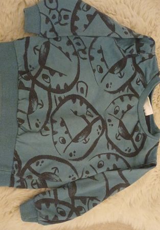 Cooler Dino-Pulli, Grösse 80