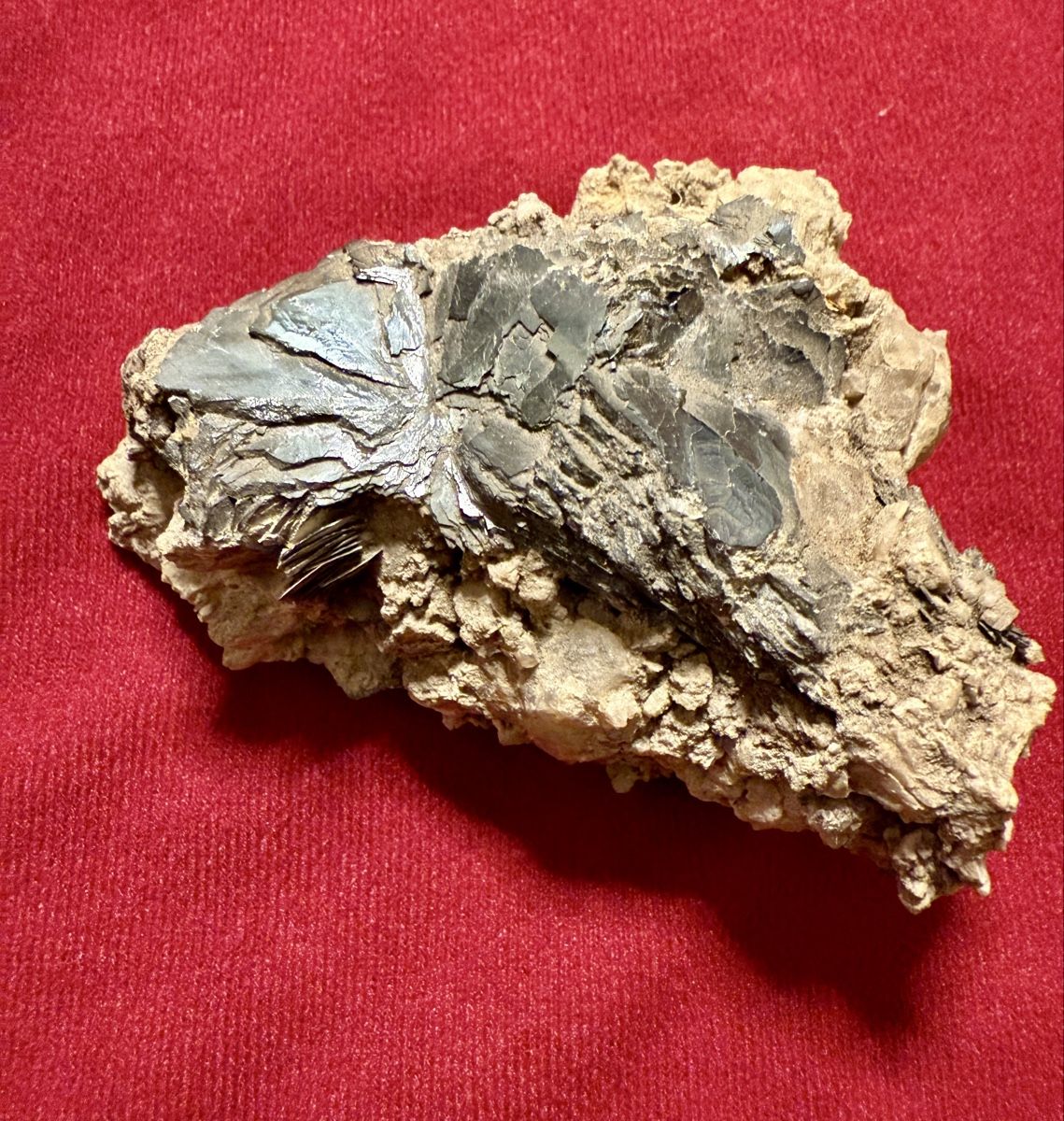 Mineralien & Heilsteine: Eisenrose aus dem Grimselgebiet – Gebraucht aus Schattenhalb von Oodaaq 5