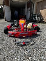 Rennkart: Swiss Hutless mit Rotax MAX 125 ccm Motor