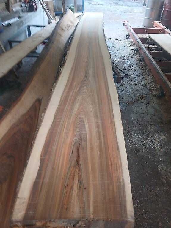 Holzartikel: Eschenbretter und Ulmenbretter – Neu (gemäss Beschreibung) aus Bürglen UR von Ziew 1
