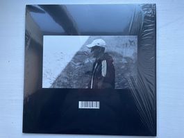Trettmann - #DIY - LP, 2017