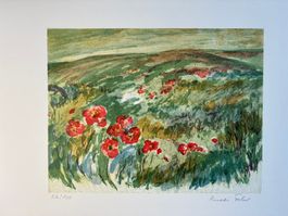 FEHR Ruedi (-) - Klatschmohn) - Lithographie