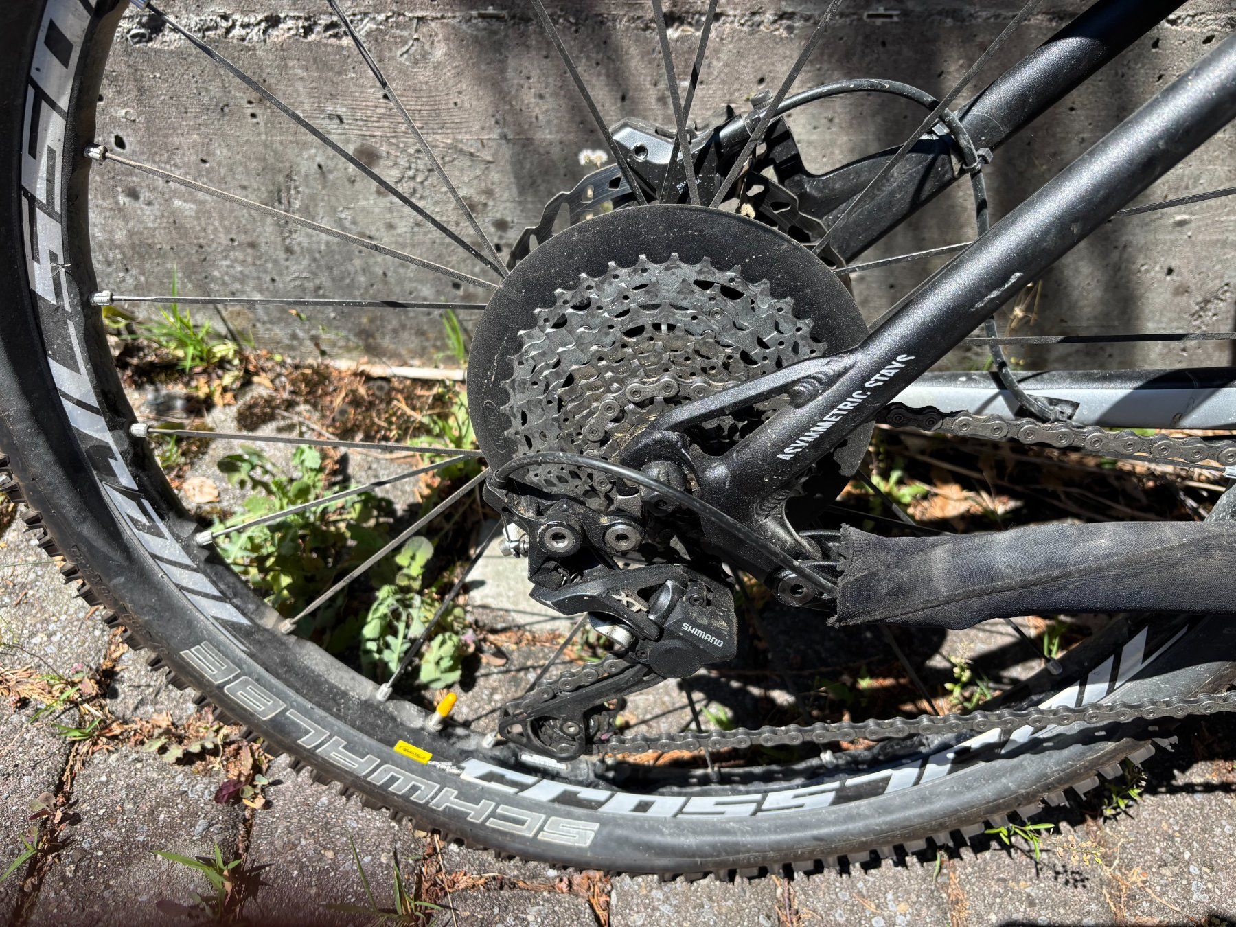 Biciclette: Mountainbike Nerve AL – Usato da Beckenried venduto da Robiliano 1