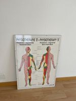 Lehrtafel Physiotherapie Hautinnervation guter Zustand