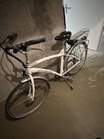 Elektro Fahrrad Saxonette