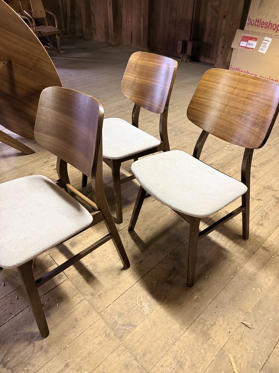Sedie: 3er Set Esszimmerstühle HAGAN – Usato da Solothurn venduto da NUVICO 2