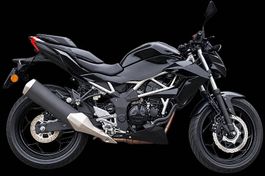 Kawasaki Z125 - perfekt für Einsteiger