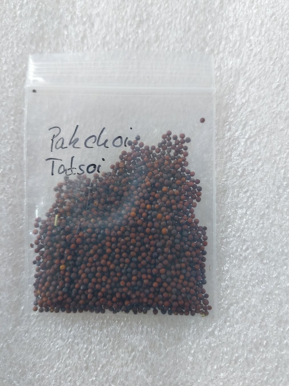 Piante & sementi: Samen Pakchoi - Tatsoi 20stk  gemischt – Usato da Schwaderloch venduto da bademeister79