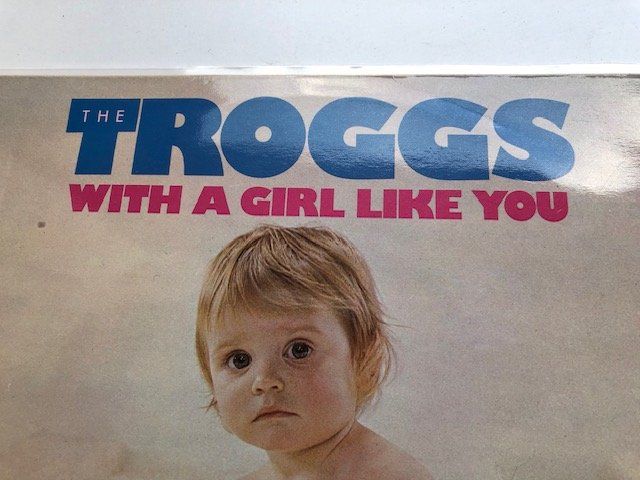 Dischi in vinile: The Troggs – Usato da Aarwangen venduto da Jukebox3 1