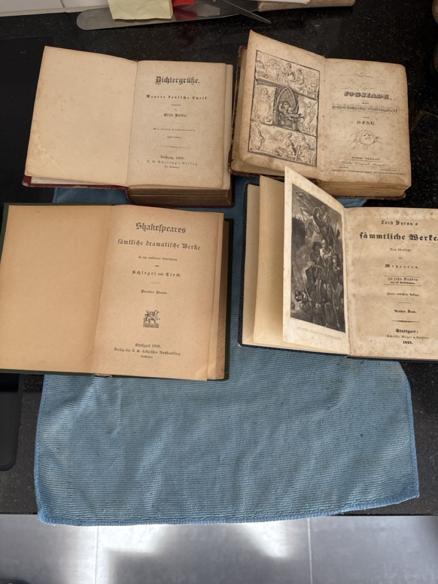 Libri: Shakespeare. Polko, Gedichte Poesie  – Usato da Siebnen venduto da Micha1307
